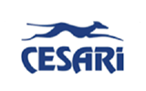 Cesari